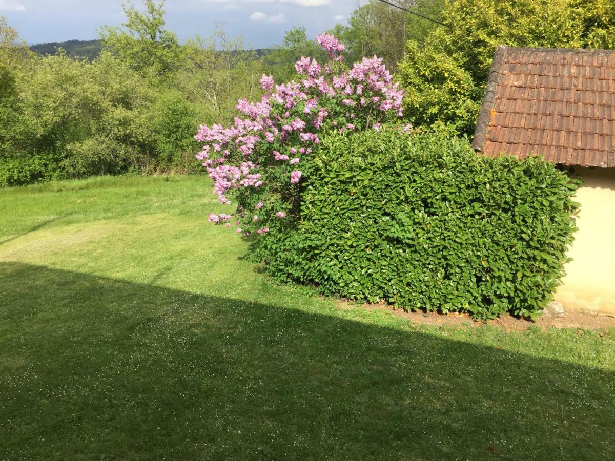 Domaine De Lascaux Bed & Breakfast Montignac-Lascaux Exterior photo